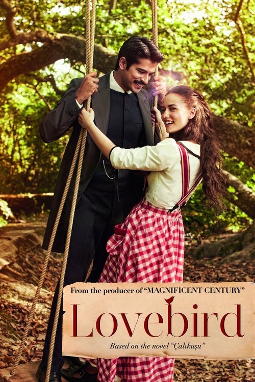 Çalıkuşu : 1.Sezon 23.Bölüm