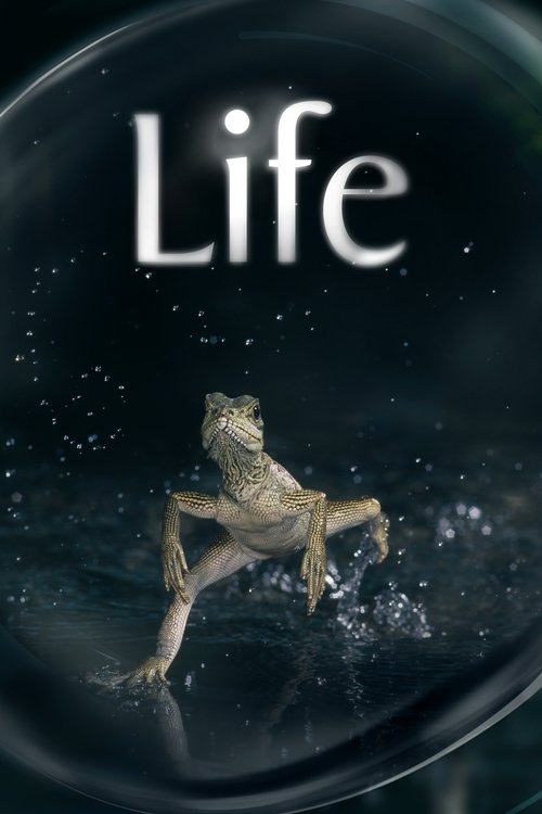 Life : 1.Sezon 9.Bölüm