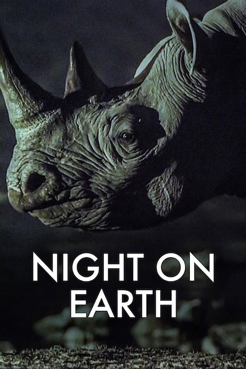 Night on Earth : 1.Sezon 5.Bölüm