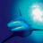 The Blue Planet : 1.Sezon 8.Bölüm izle