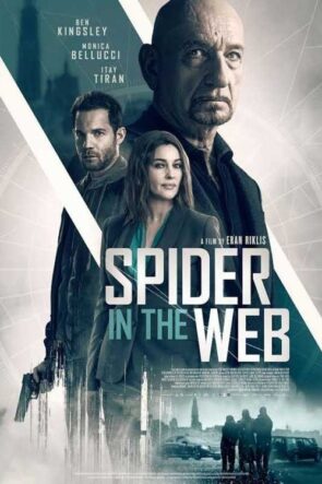 Ağdaki Örümcek izle (2019)