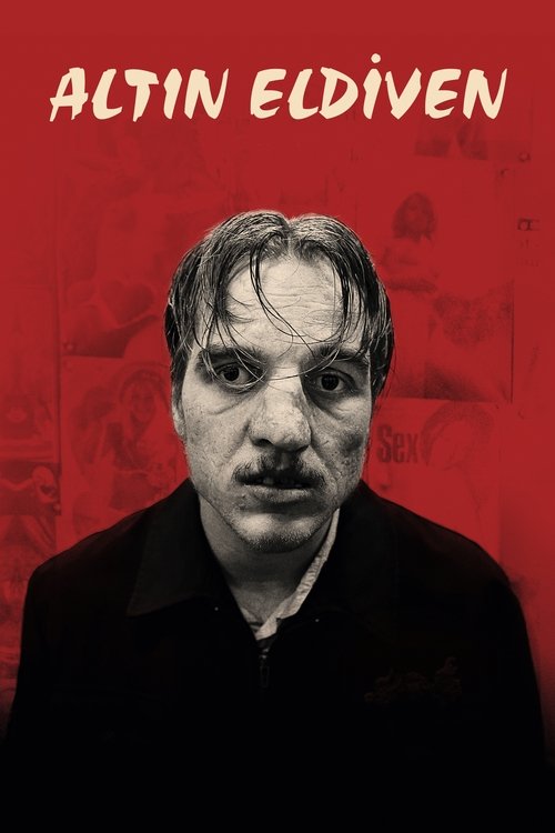 Oyuncak Hikayesi 4 izle (2019)