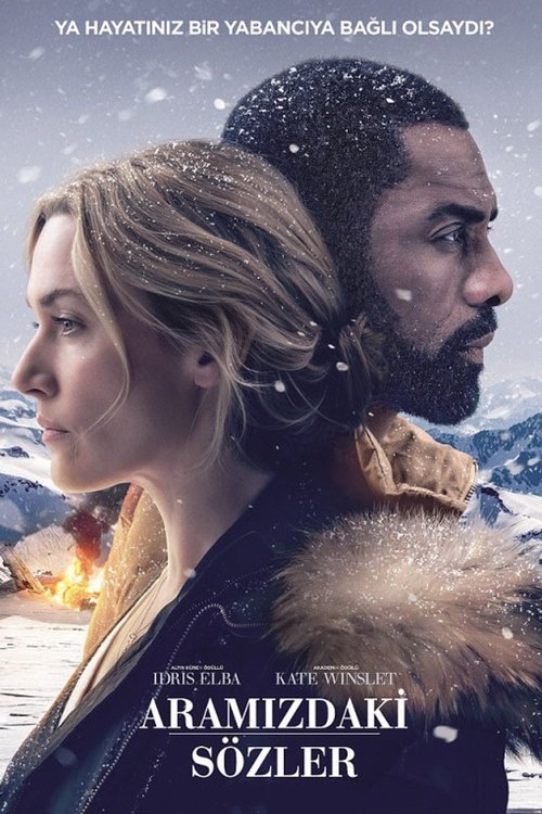 Aramızdaki Sözler izle (2017)