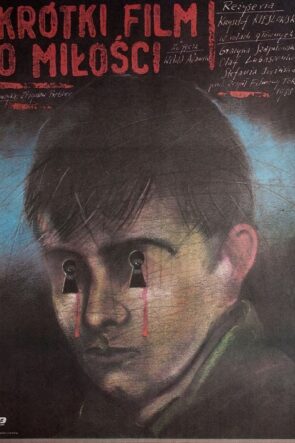 Aşk Üzerine Bir Film izle (1988)