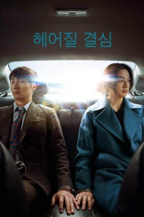 Ayrılma Kararı izle (2022)