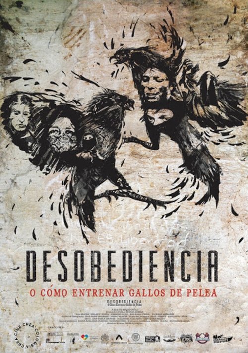 Desobediencia o cómo entrenar gallos de pelea izle (2017)
