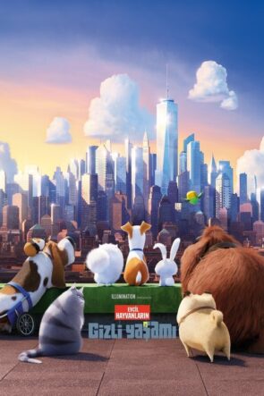 Evcil Hayvanların Gizli Yaşamı izle (2016)