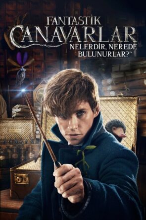 Fantastik Canavarlar Nelerdir, Nerede Bulunurlar? izle (2016)