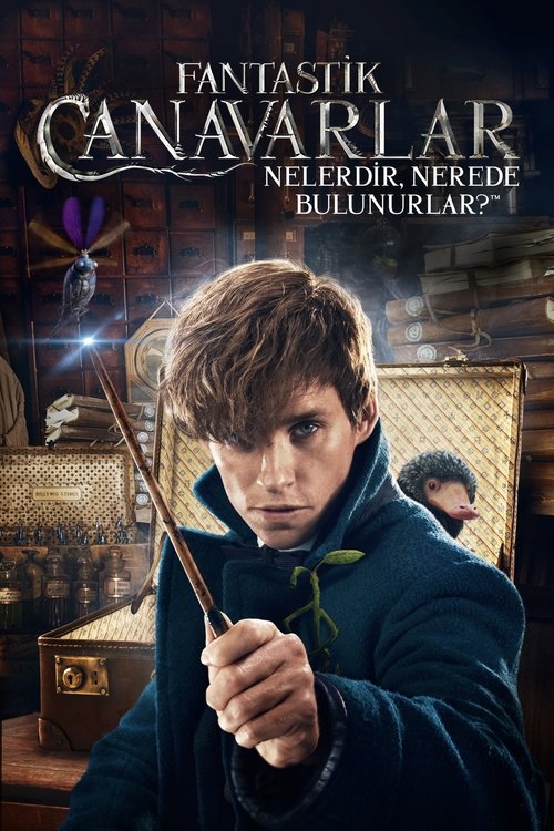 Fantastik Canavarlar Nelerdir, Nerede Bulunurlar? izle (2016)