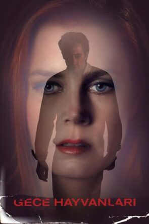 Gece Hayvanları izle (2016)