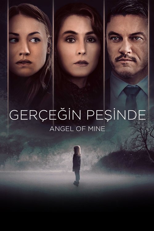Gerçeğin Peşinde izle (2019)