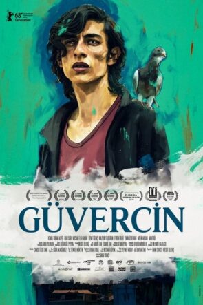 Güvercin izle (2018)