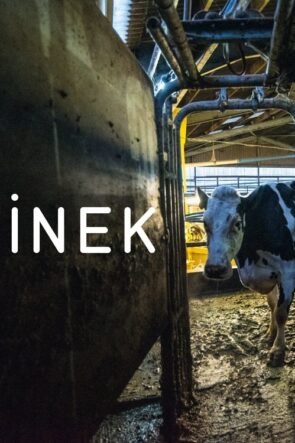 İnek izle (2022)
