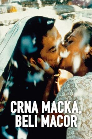 Kara Kedi, Ak Kedi izle (1998)