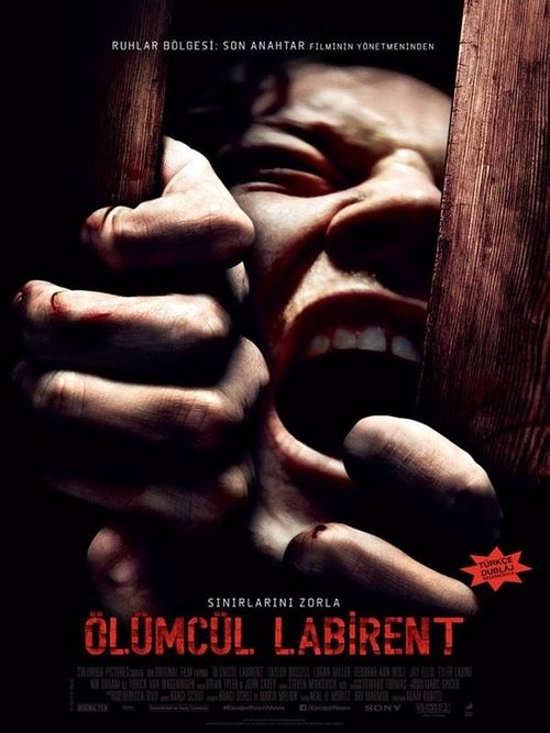 Ölümcül Labirent izle (2019)