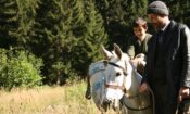 Bal izle (2010)