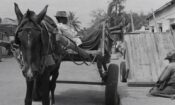 Borom sarret izle (1963)