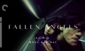 Düşkün Melekler izle (1995)