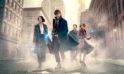 Fantastik Canavarlar Nelerdir, Nerede Bulunurlar? izle (2016)