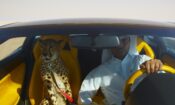 The Challenge izle (2016)